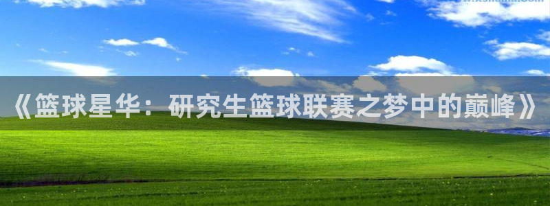 《篮球星华：研究生篮球联赛之梦中的巅峰》