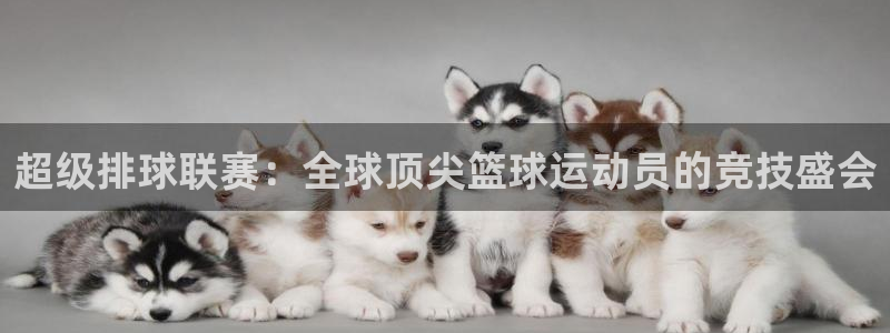 超级排球联赛：全球顶尖篮球运动员的竞技盛会