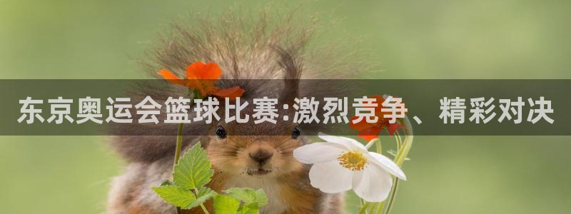 东京奥运会篮球比赛:激烈竞争、精彩对决