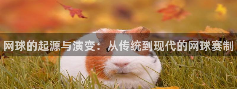 球速体育app授权:免费软件是什么：网球的起源与演变：从传统