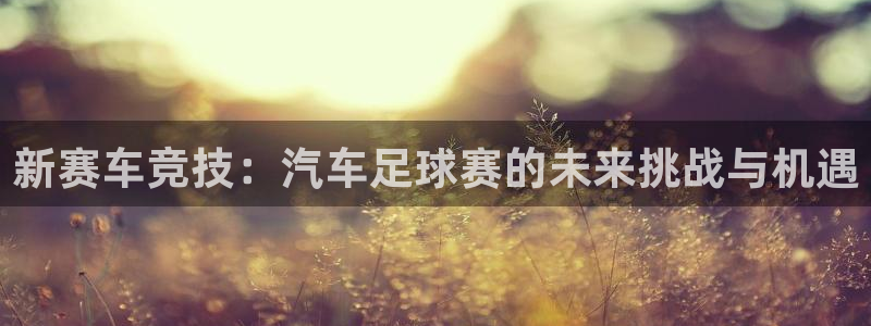 球速体育welcome：新赛车竞技：汽车足球赛的未来挑战与机