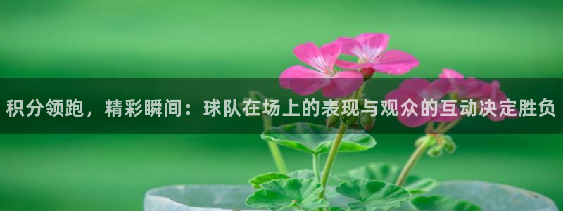 球速体育买球安全吗：积分领跑，精彩瞬间：球队在场上的表现与观