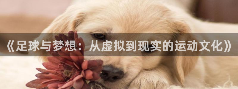 球速体育app官网下载：《足球与梦想：从虚拟到现实的运动文化
