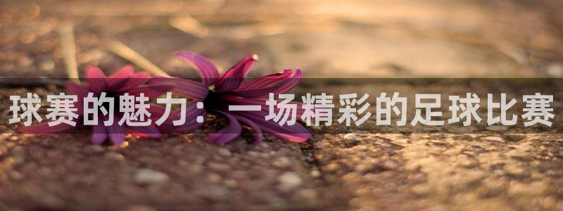 球速体育app最新版下载安装：球赛的魅力：一场精彩的足球比赛