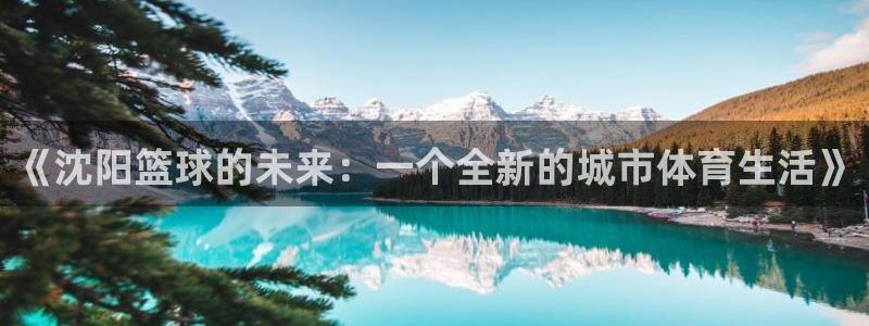 球速体育app授权:免费软件是什么：《沈阳篮球的未来：一个全