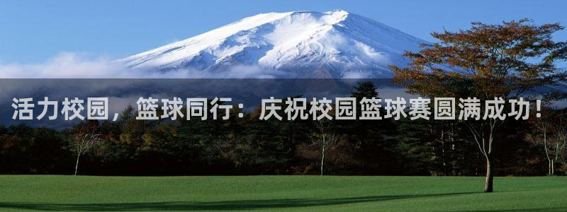 球速体育是什么：活力校园，篮球同行：庆祝校园篮球赛圆满成功！